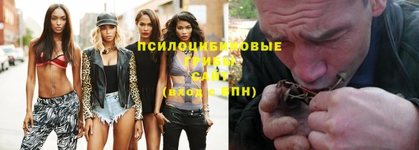 молекула духа Балахна