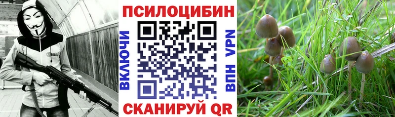 даркнет сайт  KRAKEN   Галлюциногенные грибы ЛСД  Трёхгорный 